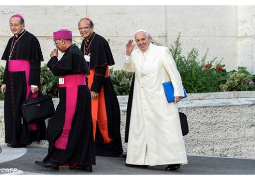 Francis synod smile