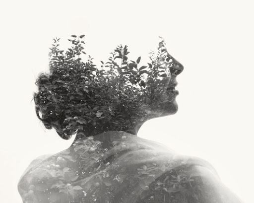 Multiple exposure photograph human with nature 4